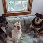 Andrea Hammack - @arealringer - Instagram