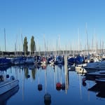 Andrea Hammes - @ahammum5 - Instagram