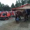 Andra Hampton - @user80477636 - TikTok