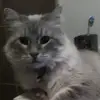 andreaharley8 - @andreaharley8 - TikTok
