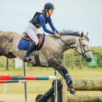 Andrea Holbrook - @holbrookhorses - Instagram