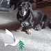 Andrea Hope - Facebook