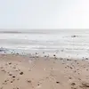 Andrea.Hope - @andrea.hope - TikTok