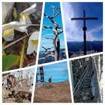 Andrea Horner - @andrea.horner.336 - Instagram