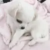 ᯓᡣ𐭩.ᐟ ⊹ - @andrea.ivanovskaa - TikTok