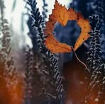 Andreea Ivanov - Facebook