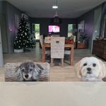 Andrea Jaques - @and_tea64 - Instagram