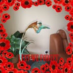 Andrea Jefferies - Facebook