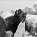 Andrea Jo - Facebook