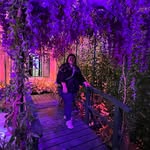 Andrea Junk - @photographicart30 - Instagram