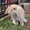 Andrea Kierstead - @andrea.kierstead - TikTok