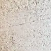 andreakinney0412 - @andreakinney0412 - TikTok