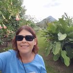 Andrea Mitrou-Knapp - @mitrouknapp - Instagram