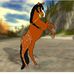 Andrea Kull - Facebook