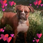 Andrea Küppers - @andrea.kuppers.56 - Instagram