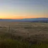 Andrea Lamb - @andrea.lamb97 - TikTok