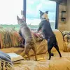 Andrea Jo Lanham - @andrea.jo.lanham - TikTok