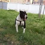 Andrea Lanza - @lanza_0895 - Instagram