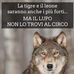 Andrea Lanza - Facebook