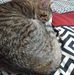 Andrea Levesque - Facebook