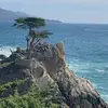 Andrea Lin - @andrea.lin1 - TikTok