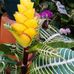 Andrea Loewen - Facebook