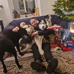Andrea Löwenstern - @andrea_loewenstern_ - Instagram