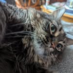 Andrea Lee Matson - @andrea_matson - Instagram
