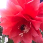 Andrea Mccormack - @mccormack.andrea - Instagram