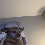 Andrea McQueen Boois - @mcqueen_na_ - Instagram
