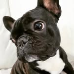 Andrea Modena - @amodena76 - Instagram