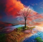 Andrea Nitsche - Facebook