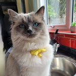 Andrea Oldham - @andrea.oldham.96 - Instagram