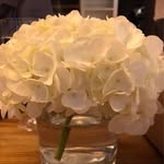 Andrea Olson - @a_olson4 - Instagram