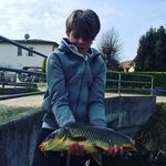 Andrea pavia - @andreapavia2585 - Instagram