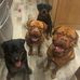 Andrea Phelps - Facebook