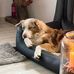 Andrea Philipp - Facebook