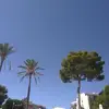Andrea Pick-El - @andrea.pickel8 - TikTok