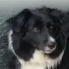 andrea.pieri68 - @andrea.pieri68 - TikTok