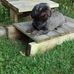 Andrea Plum - Facebook