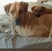 Andrea Michele - Facebook