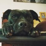Andrea Ralph - @andrearalph1976 - Instagram