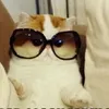 andrea_ralph - @andrea_ralph - TikTok