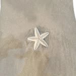 𝓐𝓷𝓭𝓻𝓮𝓪 𝓡𝓪𝔂𝓪 ✨️🌸 - @anndieraya - Instagram