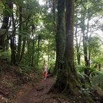 Andrea Red - @andrea.redman.79 - Instagram