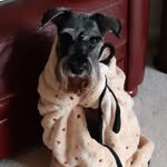 Andrea Rees - @andrea.rees.1029 - Instagram