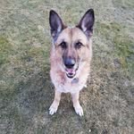 Andrea Rickert - @andrea.rickert66 - Instagram