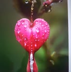 Andrea Rickert - Facebook