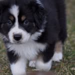 Andrea Rickertsen - @andrea_rickertsen - Instagram
