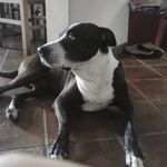 Andrea Rispoli - @rispoli_andre - Instagram